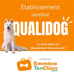 Canoë 2000 dans les Gorges du Tarn : faites du canoë avec votre chien !
